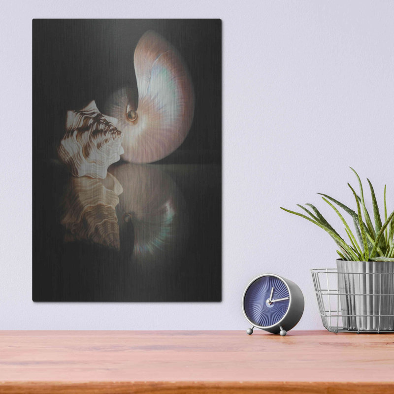 «Pearl Nautilus» par Cecile Baird, H 16 po x l 12 po