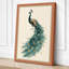 Peacock in Profile Botanical - Wrapped Canvas-1309496914-1309496922