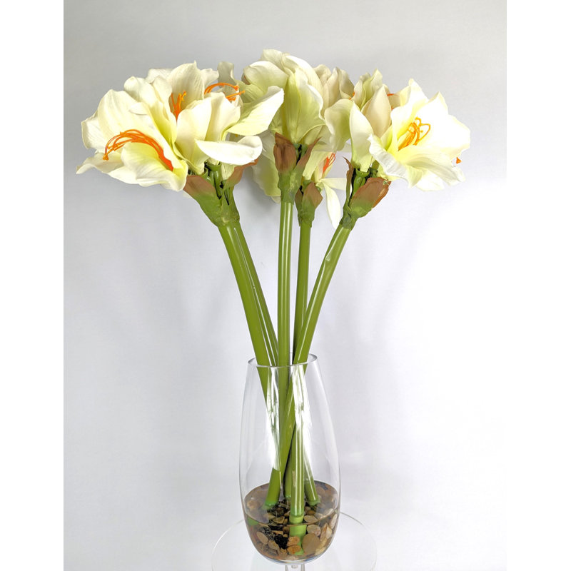 Amaryllis, arrangement floral dans un vase