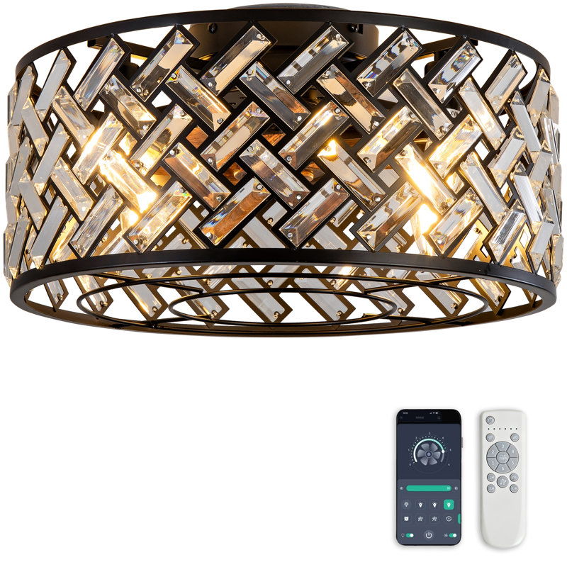 Ventilateur de plafond Cage avec lumière et télécommande, 18,7 po, Style 2 - Profil bas - avec lumière, Noir + ABS