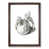 Walnut Framed selected