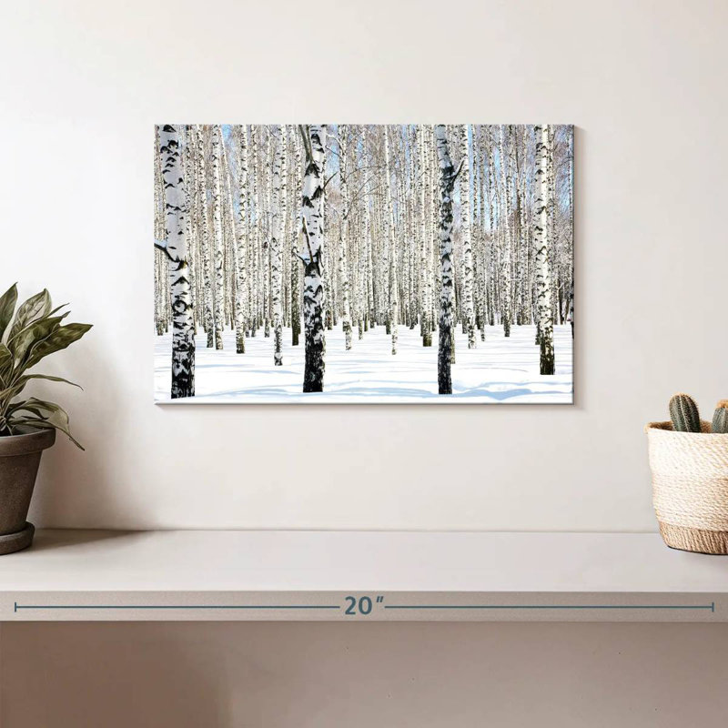 Alvord Snow White Birch Grove, 8" H x 12" W