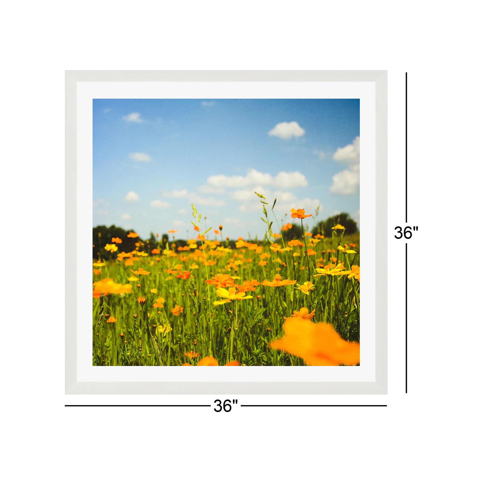 Summertime Good Vibes by Olivia St Claire, White Floater Framed, No, 36" W x 36" H