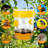 3 Pcs Wasp Traps for Outdoors Wasp Killer Hanging Bee Traps Reusable Fly Bee Killer for Indoor Outdoor Patio Garden Home, 2 1(diamond pattern)-114313876