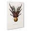 Coconut Crab by Charles D Orbigny - Wrapped Canvas-55371284