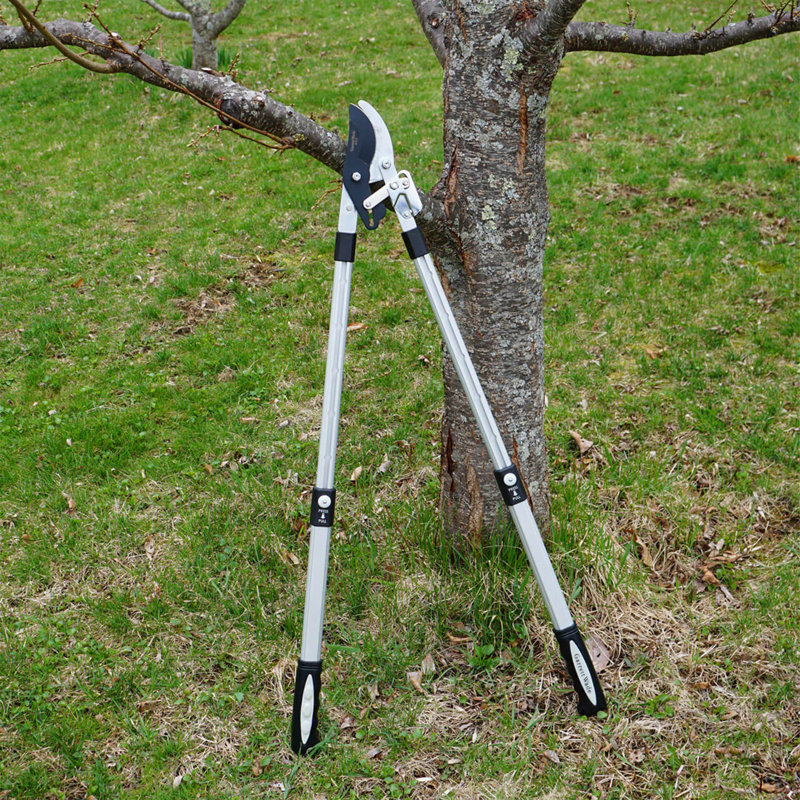 Débroussailleuses - coupe-cliquet double à encliquetage - Longues poignées extensibles de 26 à 40 po - Loppers pour la taille des arbres très résistante