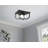 4-Light 16.25"W Black Open Cage Flush mount