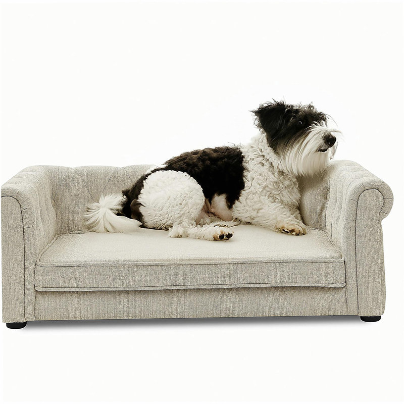 Élégant lit pour animaux de compagnie rectangulaire pour petits et moyens chiens, canapé-lit surélevé durable, canapé confortable pour chien, canapé moderne et élégant pour chiens de petite et moyenne taille, beige