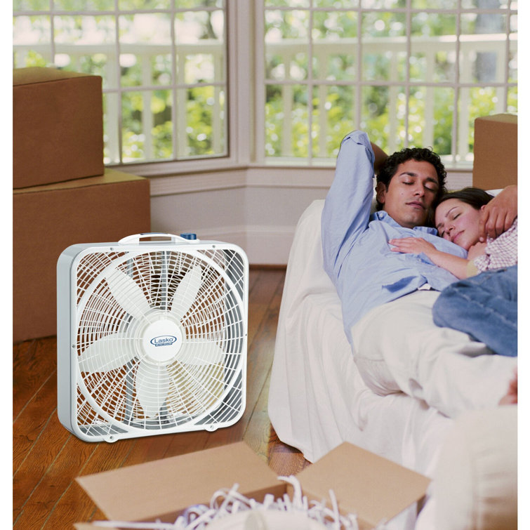 Lasko 22 Box Fan u0026 Reviews | Wayfair