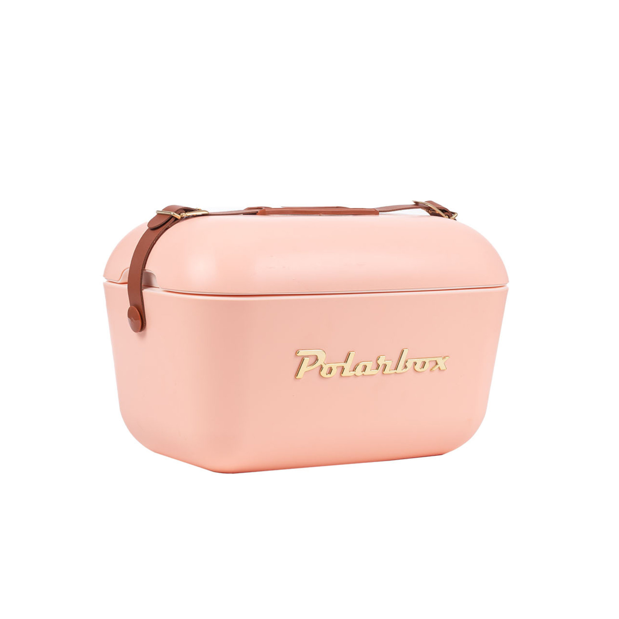 21 Quarts Ice Chest, Pink