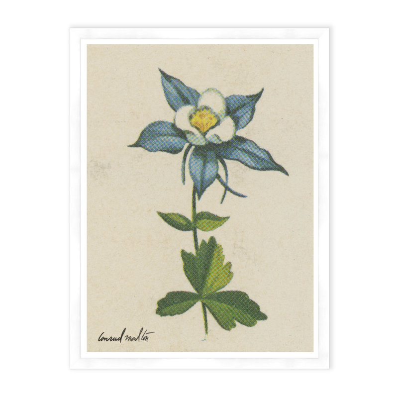 White Flower Print
