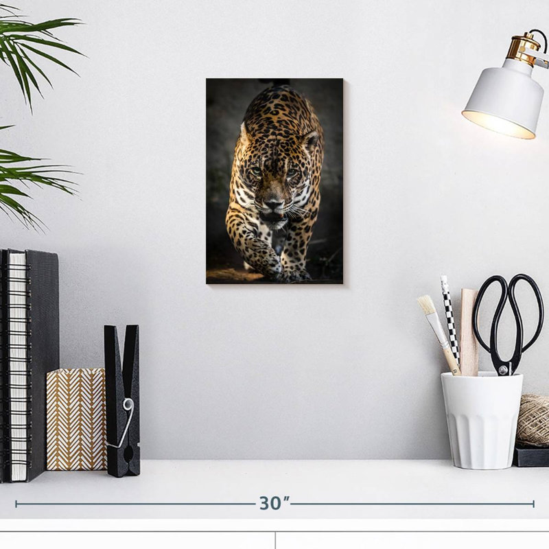 Brampt Strutting Jaguar, H 12 po x l 8 po