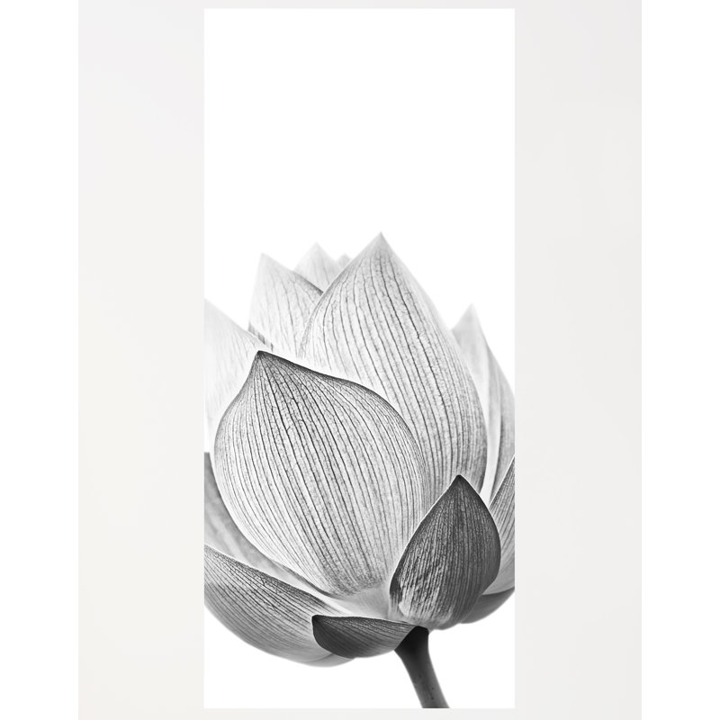 Murale Hao Lotus, l 48 po x L 108 po
