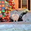 Figurine lumineuse Bumble Snowman