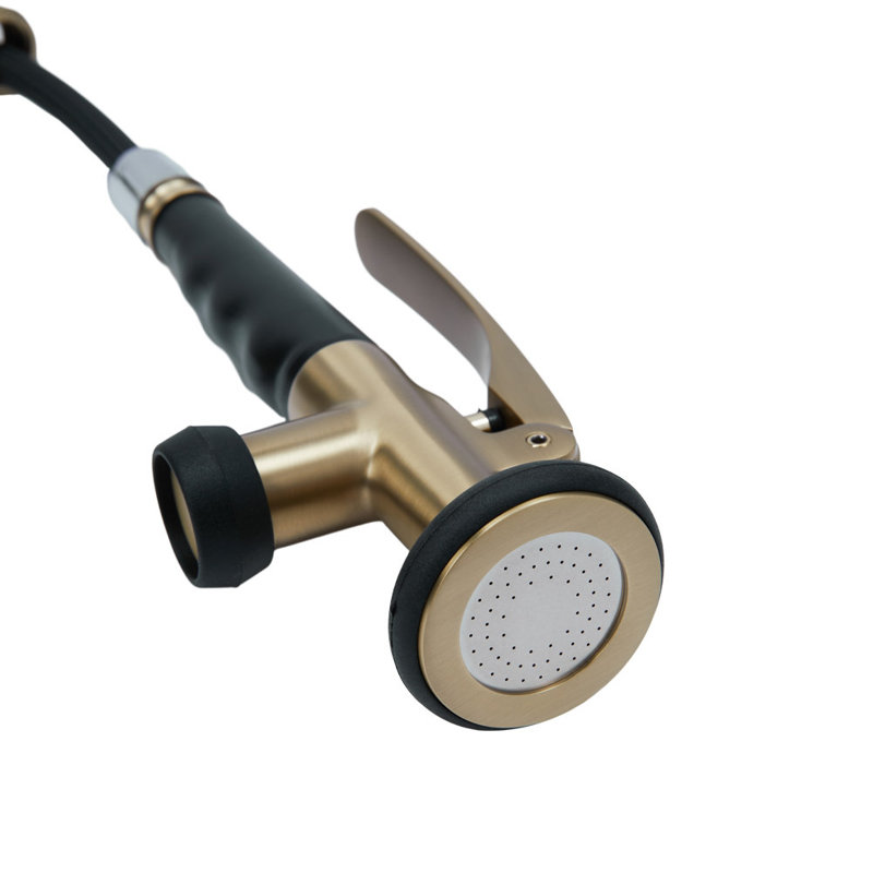 Belfry Kitchen Burhill Pull Out Kitchen Faucet, Black/Gold