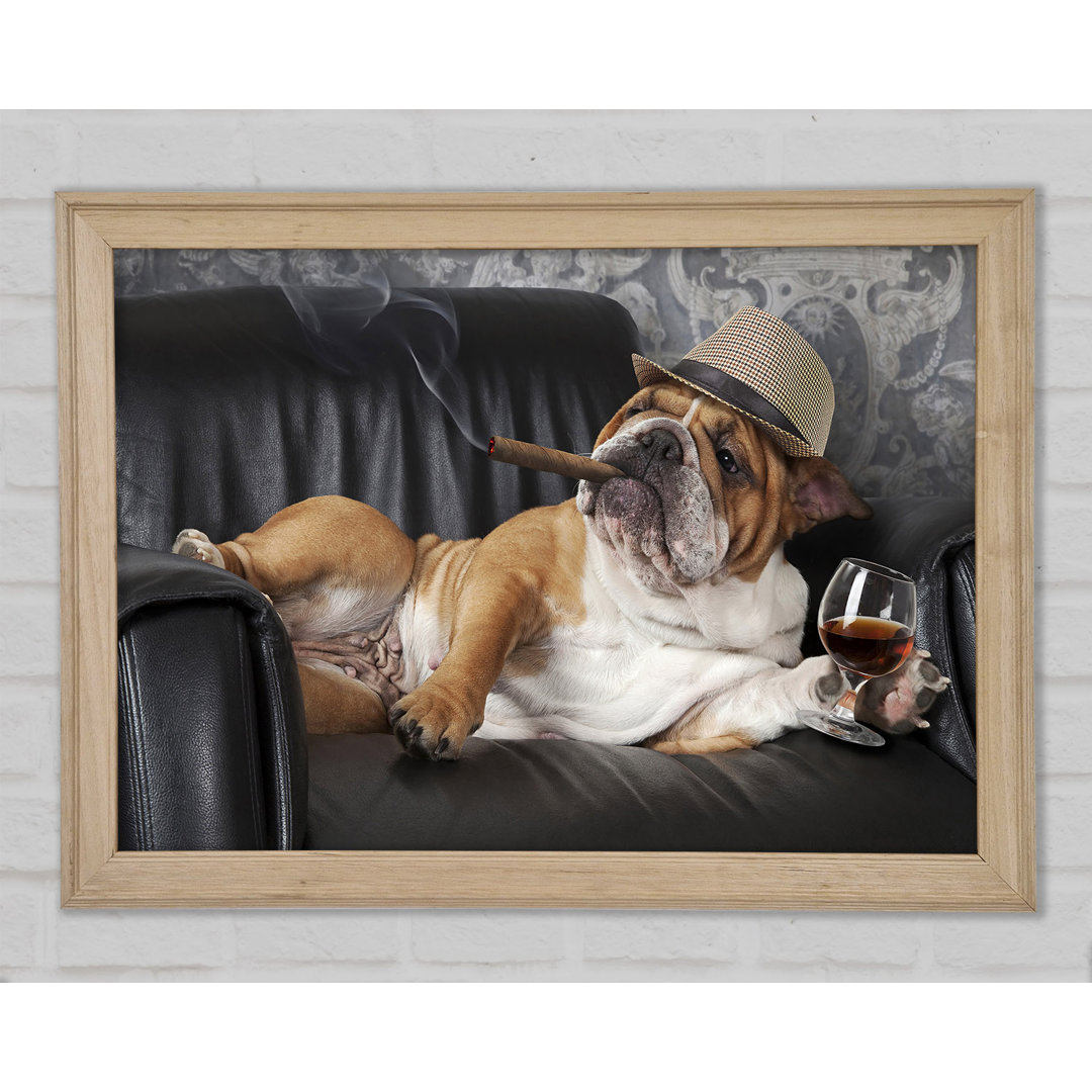 Gerahmtes Wandbild British Bulldog Chillin