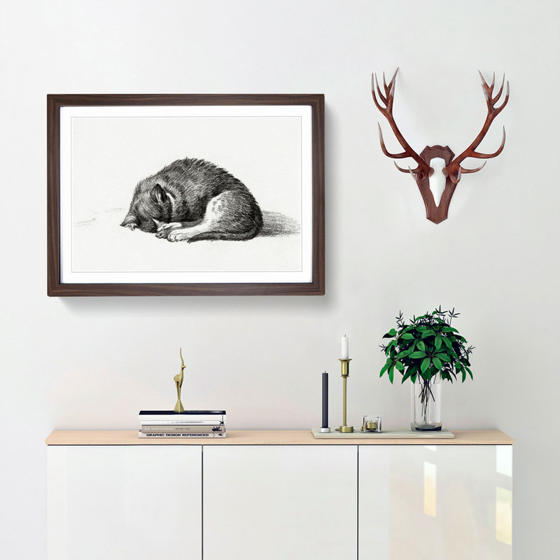 Curled Cat by Jean Bernard - Picture Frame Drawing Print, 27cm H x 36cm W x 2cm D, Walnut Framed