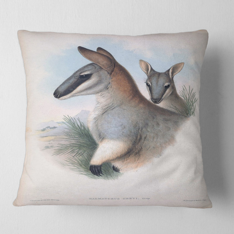 Housse et insert de coussin carré Kangaroo, 16" x 16"