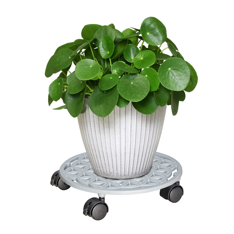 11.4" Round Cast Iron Plant Caddy