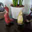 Photos des clients 1 de 2