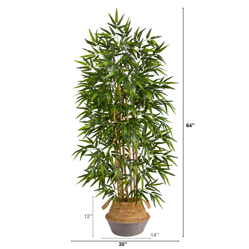 64'' Faux Bamboo Tree in Planter, Tan/Mauve