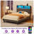 Bed Frame with Headboard, Modern Upholstered Design, Built-In Charging Station & LED Lighting, No Box Spring Needed-511215502-511215489