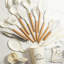 Belfry Kitchen Dairine 46 Utensil Set