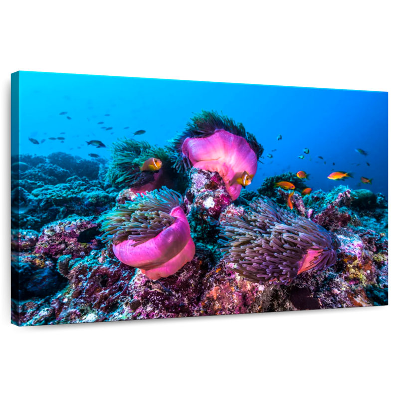 Aletra Maldives vue sous l'eau, H 34 po x l 51 po