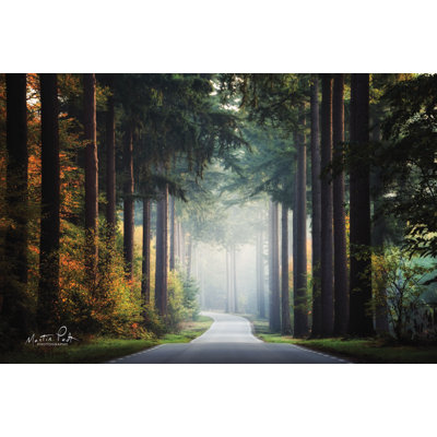 «Mysterious Roads» par Martin Podt - reproduction imprimée