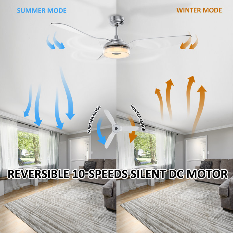 Geradette 56'' Ceiling Fan with LED Lights