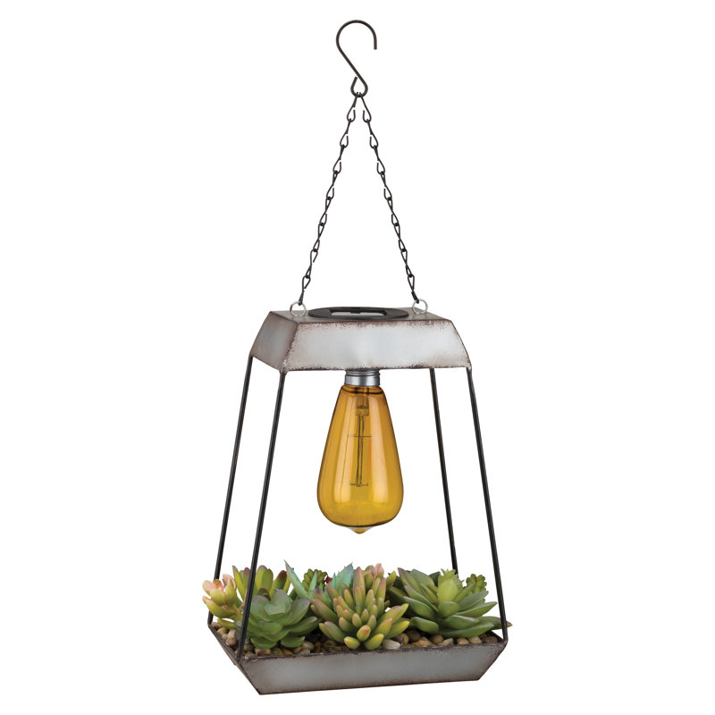 Lanterne solaire Edison Succulent - Pyramid