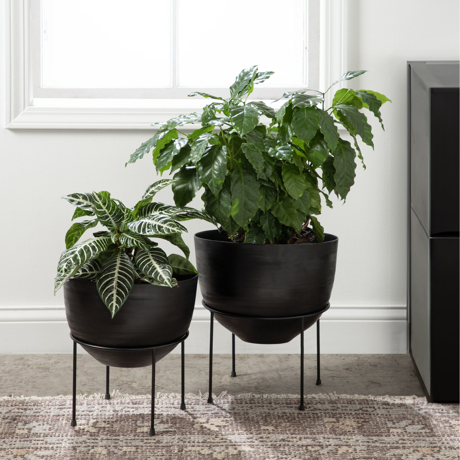 Beamon 12" Pot Planter, Black