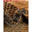 Tapis beige / brun Apex-73871627