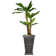 Panama 60'' Artificial Banana Leaf Tree in Planter