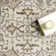 Cady SpinClean Machine Washable Transitional Area Rug