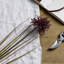 Arrangement-111171162