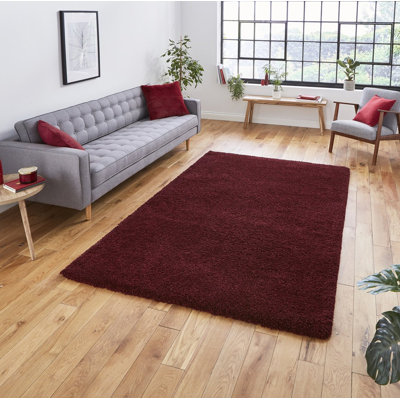 Canh area rug Machine Woven Ruby