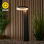 Aapeli Integrated LED Bollard Light
