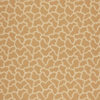 Giraffe Wallpaper