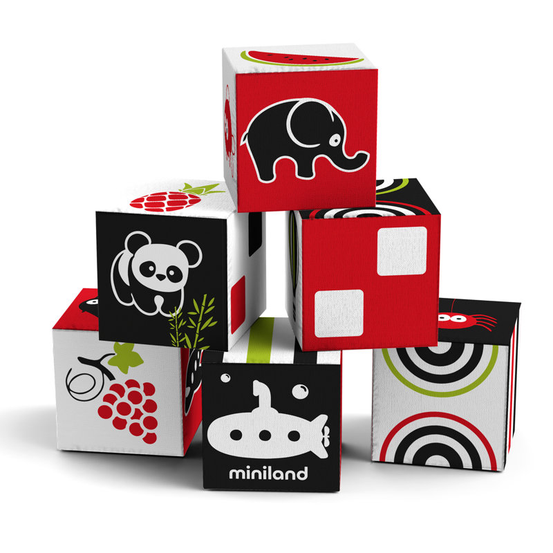 Ensemble de 6 cubes Miniland