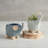 Mini Ceramic Succulent Planter - Deer