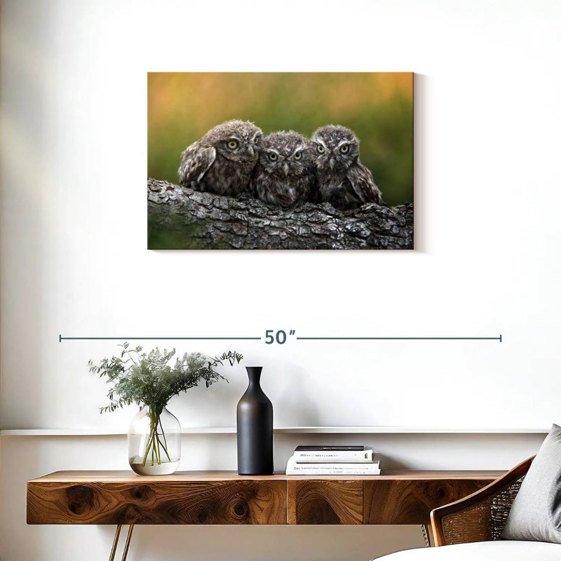 Brampt Snuggling Young Owls, 20" H x 30" W