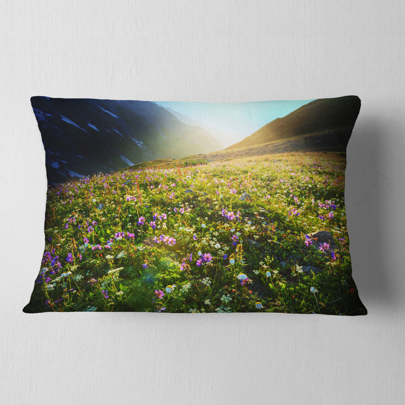 Coussin Schafer
