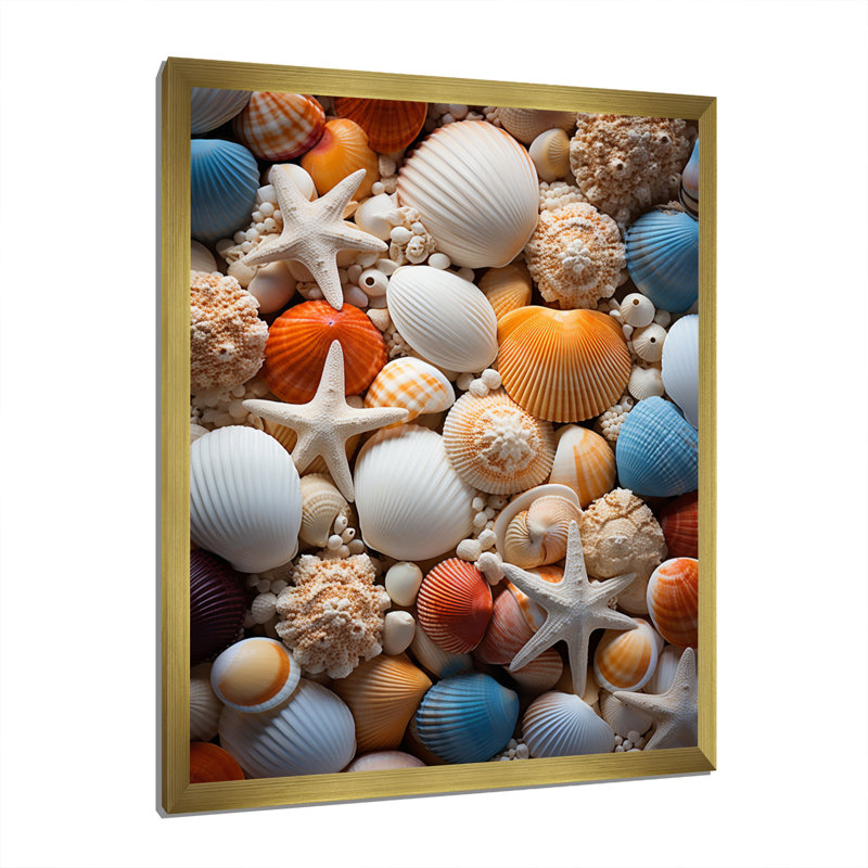 " Beach Photo Seashell Symphony VI ", 32" H x 16" W x 1" D, Gold Picture Framed