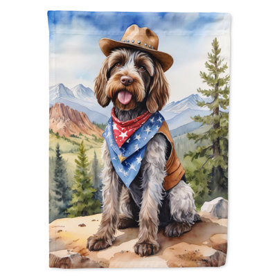 Drapeau Cowboy Welcome House