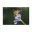 Wall Art on Canvas-773559951