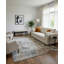 Dilara Area Rug in Grey-1603581256