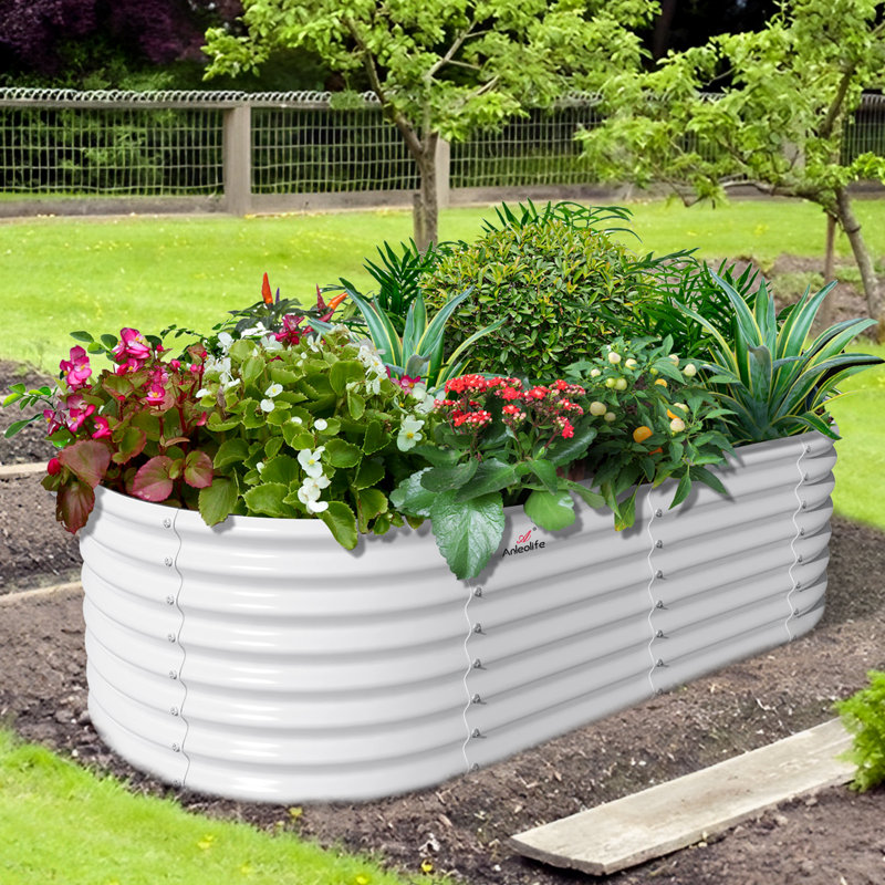 Platebande surélevée ovale durable 6 x 3 x 2 pi pour les légumes, les fleurs et les herbes, Blanc