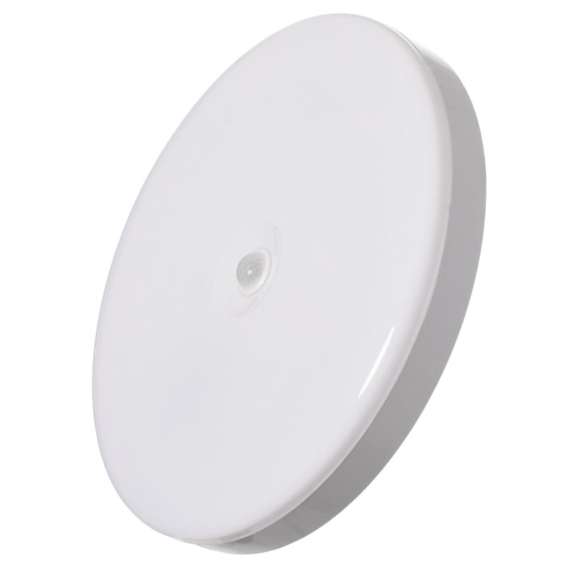 Luminaire plafonnier rond blanc de 12 pouces avec lumière du jour 6500k