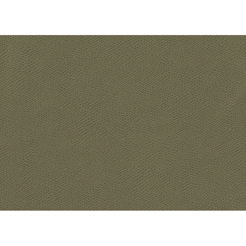 Ophidian Fabric, Sage